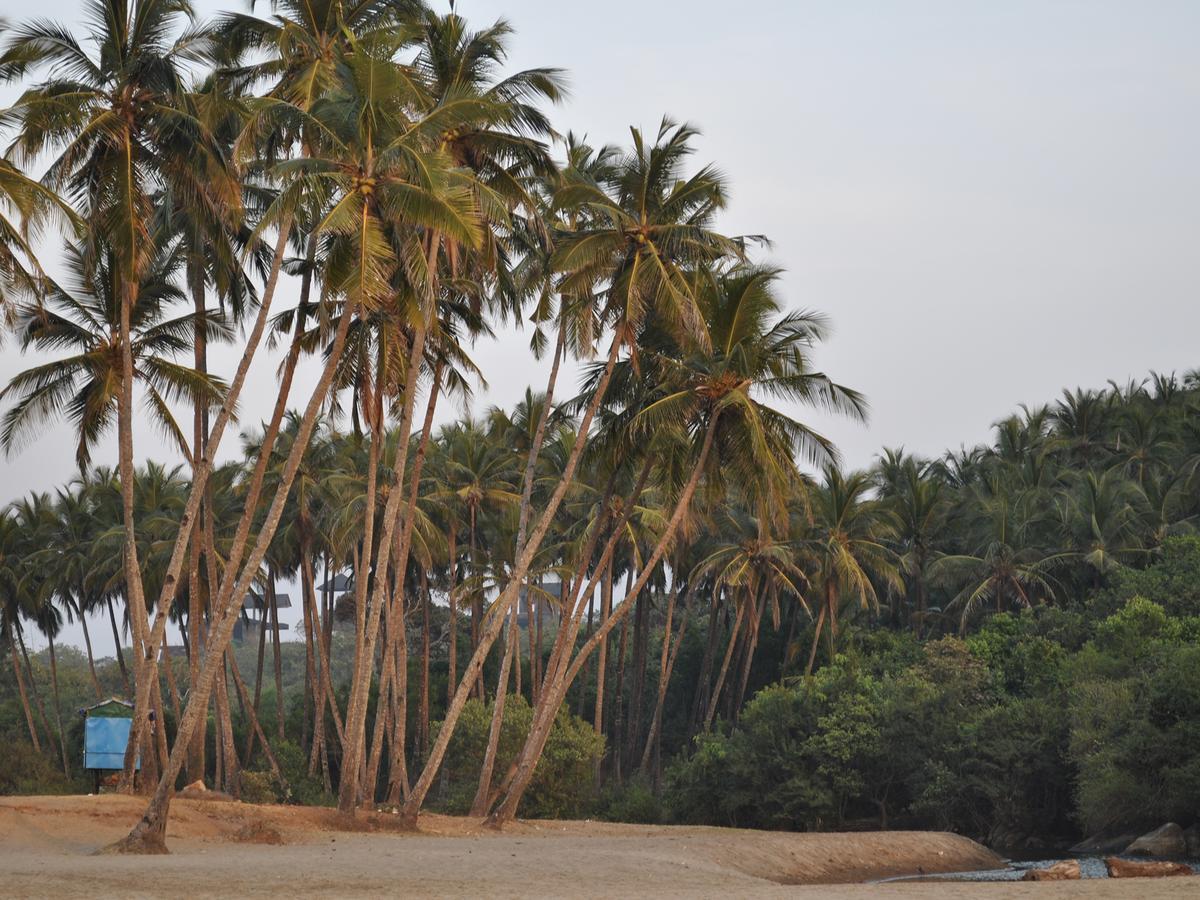 Hotel Tutti Garden Bungalows Mormugao Exterior foto