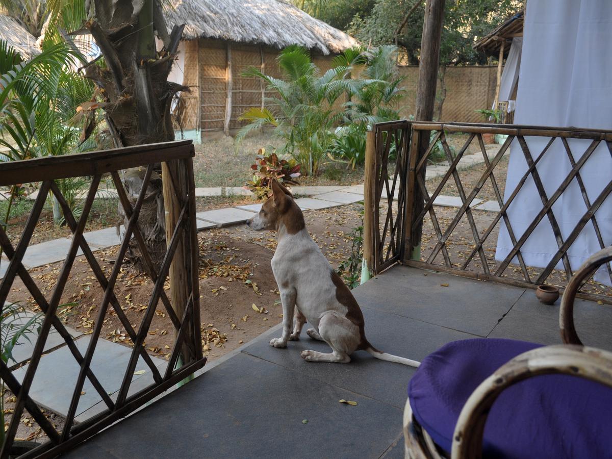 Hotel Tutti Garden Bungalows Mormugao Exterior foto